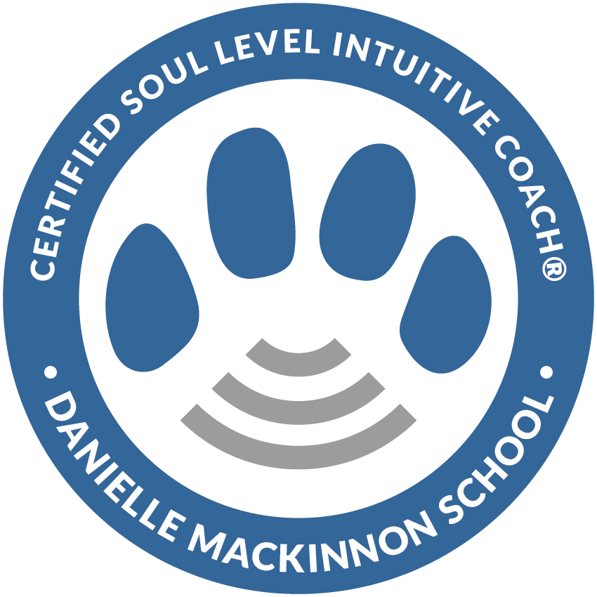 Danielle McKinnon School certification